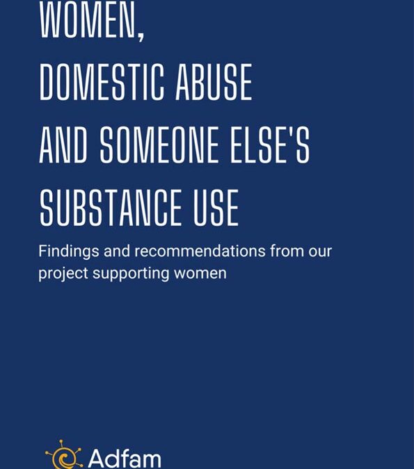 Adfam Domestic Abuse Project Report