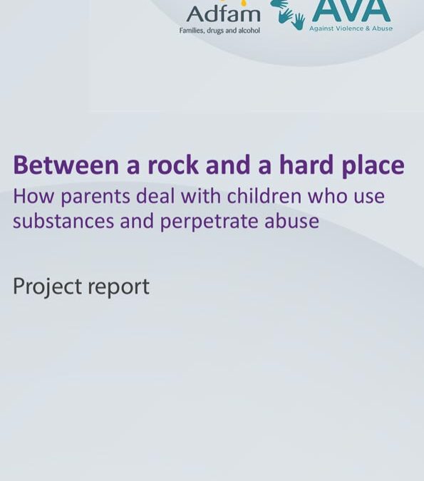 Between a rock and a hard place – Project report